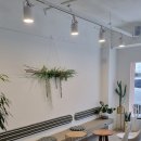 카페오아세 이미지