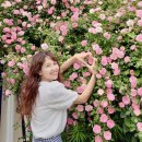수원시 팔달구 창룡대로104번길 이미지