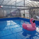 가평오렌지캠프 이미지