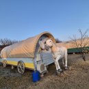 역마차 카페 이미지