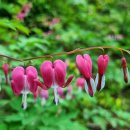 산림과환경