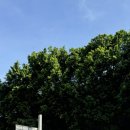 Point-봄의 향 | 대만 가오슝 소류구 거북이스노클링 솔직후기 (대중부잠 선택 안한 이유)