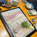 회바라기 티스토리