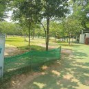 포항골프장(대중18홀) 이미지