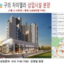 김영일치과 Daum카페