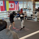 안산제일복싱체육관 이미지