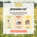 프리미엄캣 이미지