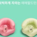 놀소프트 이미지