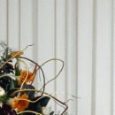 반호스튜디오 이미지