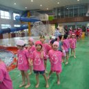 선인어린이집 이미지