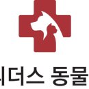 리더스 외과 동물병원 네이버블로그