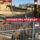 서울어린이대공원동물병원 세계일보