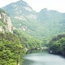 마음의 소리를 찾아서 이미지