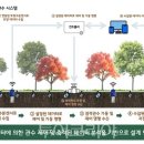 관수가