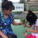 진전초등학교 이미지