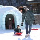 스노우가든 이미지