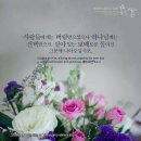 보배로움 네이버블로그