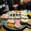 UR(경기도)-[자유로]-상-1 | 평택역 돈까스 맛집 내돈내산 엄마 최애 일본식 돈까스 맛집 본카츠