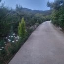 지안농장 이미지