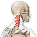 이안에서 PT 인창점 이미지