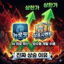 (주)씨엠 리노공업2공장점 | [2/2 투데이 상한가] 지옥장 속 홀로 상한가 간 '뉴로핏 &amp; 삼표시멘트' 의 진짜 상승 이유