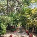 날망집 | 무주맛집 가볼만한곳 대형 칠연계곡옆 카페, 무주카페날망