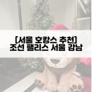 [서울 호캉스 후기] 조선 팰리스 서울 강남