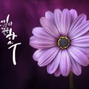 캘리그라피취미반 네이버블로그