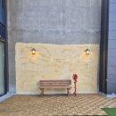 리치 안경 | [애견촬영] 리치 모델 사진 촬영기(프레임엑스 스튜디오)