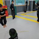 위너합기도 이미지