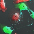 (주)에이치앤비 이미지