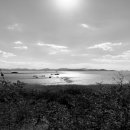 군내약국 이미지