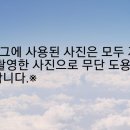 역전할머니맥주인계점 이미지