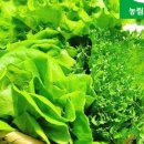 다온농원 이미지