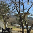 신평한우식당 | [부산/기장] 철마한우수목원 소고기맛집