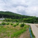 맹렬여성공인중개사사무소 이미지