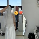 델라모레 이미지