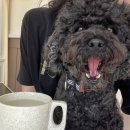 문화서로 이미지