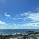 제주무릉도원집 이미지