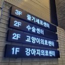 UN동물의료센터 이미지