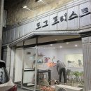 도그포레스트