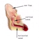 헤아림동물병원 이미지