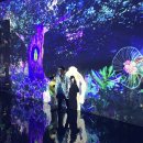 매직플로우 원더래빗 고양 : 6살, 3살 아이랑 다녀온 후기