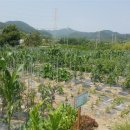 용수농장 이미지