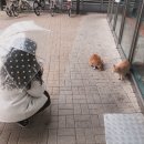 뉴목화 미용실 | 2019年 12月 - 1