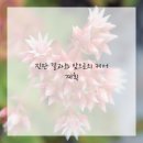 참편안한신경외과의원 | 허리 아파서 신경외과 방문한 썰, 솔직 후기 남겨봐요!