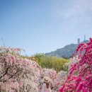 덕수농원 이미지