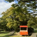 그랜드하얏트서울 | 그랜드하얏트 서울 조식 후기 테라스 로비 갤러리 비교 추천