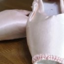 성인 토슈즈 이미지