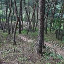 화왕산자연휴양림 이미지